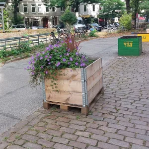 Dort, wo früher Parkplätze waren, stehen jetzt Blumenkübel. Die Fläche soll in Zukunft anders genutzt werden.