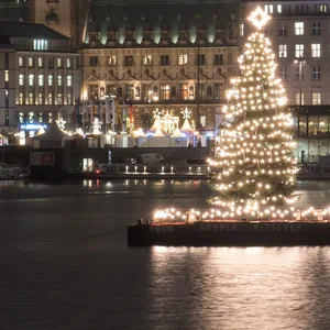 Die Alstertanne gehört fest zu Weihnachten in Hamburg. (Archivbild)