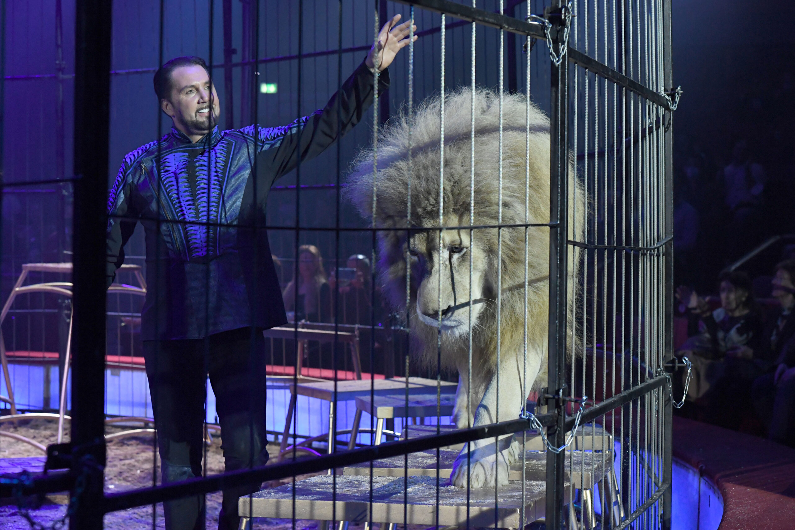 Martin Lacey Jr., Dompteur beim „Circus Krone“, mit einem Löwen. Auch bei den kommenden Aufführungen in Hamburg werden Wildtiere Teil der Vorstellungen sein – das sorgt für Kritik. (Archivbild)