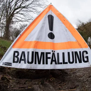 „Baumfällung“ steht auf einem Aufsteller.