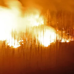 Am frühen Sonntagmorgen lodern am Brocken im Harz die Flammen.