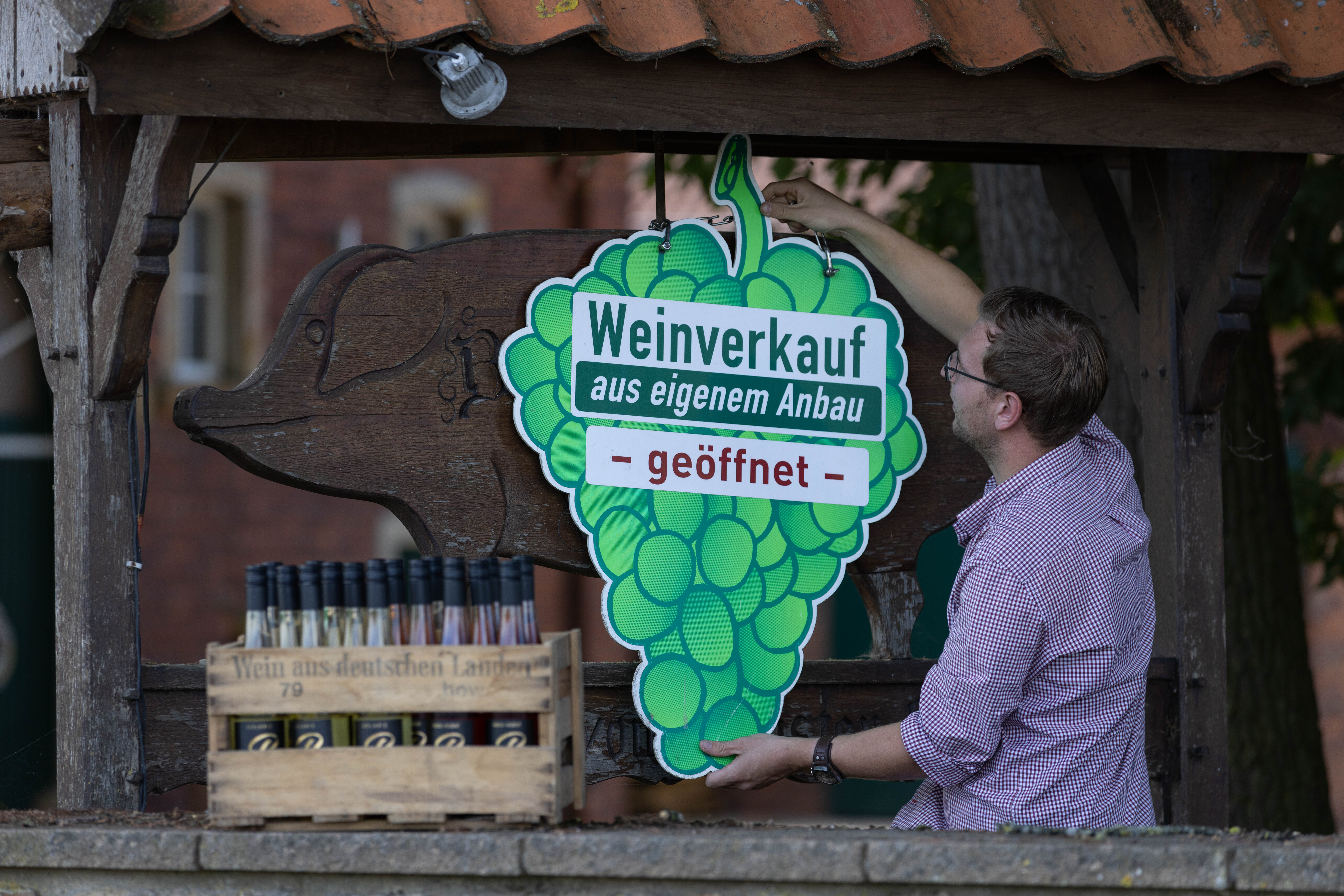Der Landwirt Jan Brinkmann hängt zur Illustration ein Schild mit der Aufschrift «Weinverkauf aus eigenem Anbau» über eine Schweinefigur