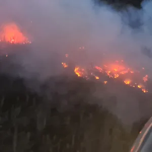 Feuer im Harz