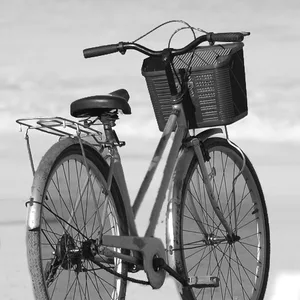 Fahrrad