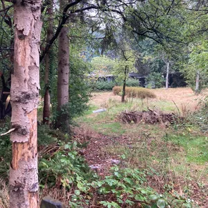 Auf diesem Gelände im Volkspark schlugen zwei Spürhunde an. Offiziell wurde hier bisher noch nicht gegraben.