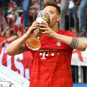 Süle