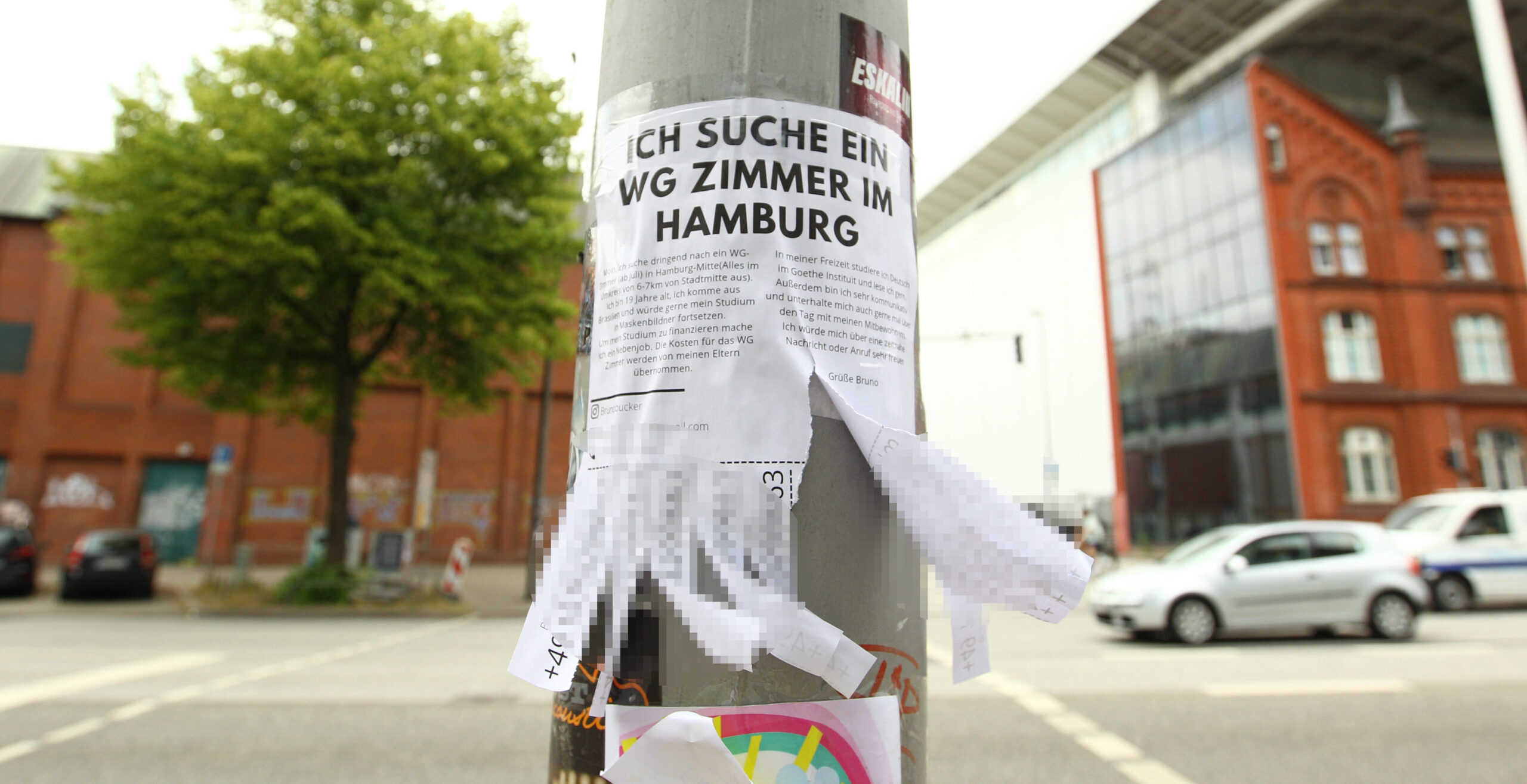 An einem Laternenpfahl klebt ein Zettel, mit dem nach einem WG-Zimmer in Hamburg gesucht wird. (Symbolbild)