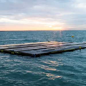 Die Offshore-Solaranlage von „Oceans of Energy”. Die Solarkraft in der Nordsee soll in den kommenden Jahren ausgebaut werden.