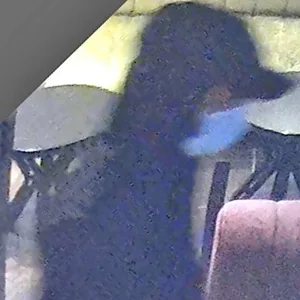 Nach Mord in Sisha Bar in Hamburg – Polizei setzt hohe belohnung aus