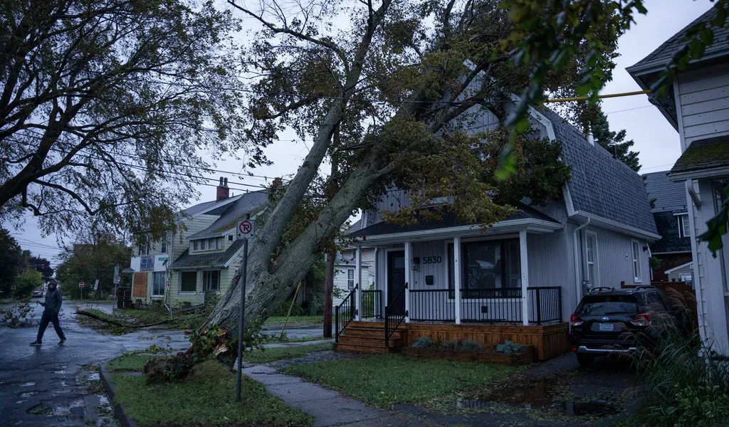 Ein Anwohner begutachtet am frühen Morgen die Schäden an seinem Haus, die durch einen umgestürzten Baum entstanden sind.