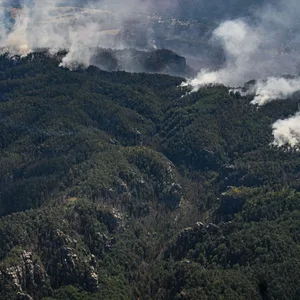 Große Waldbrände wie hier in der Sächsischen Schweiz werden in Deutschland bald ganz normal zum Sommer dazugehören, warnen Forscher.