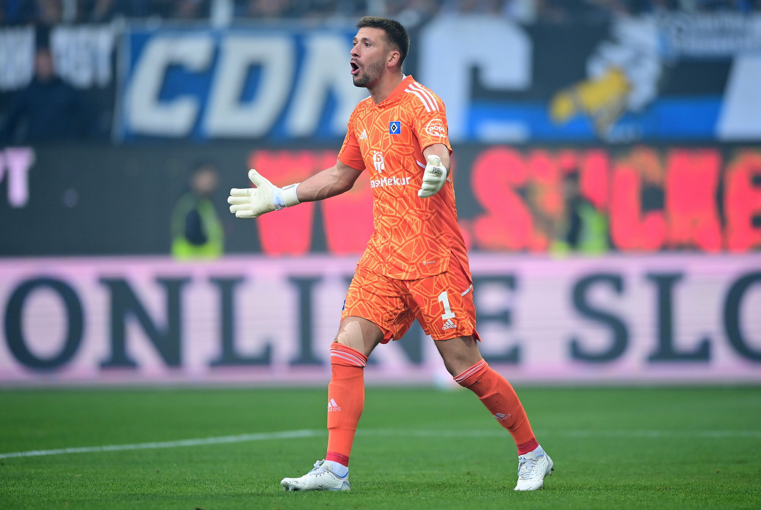 HSV-Torhüter Daniel Heuer Fernandes