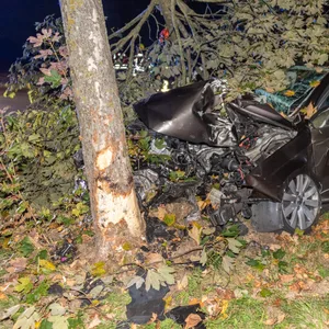 Ein Teil des Baumes stürzte auf den Volkswagen. Die zwei Insassen wurden bei dem Unfall verletzt.