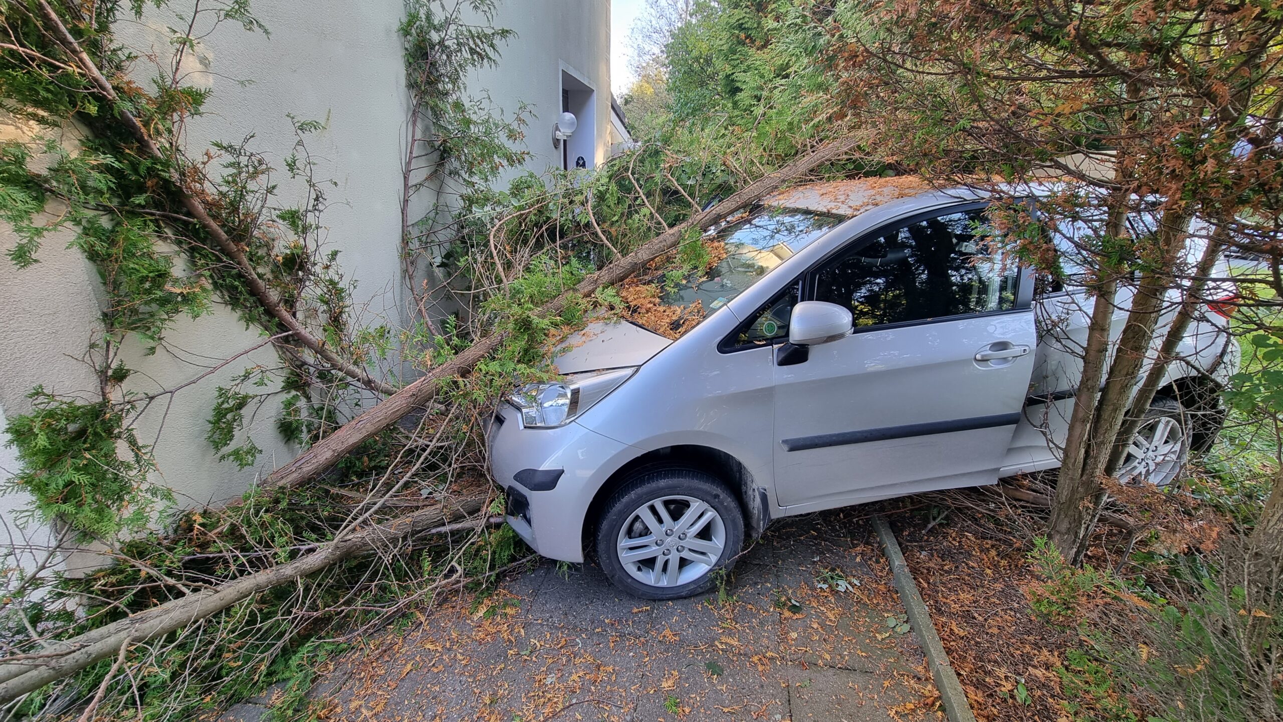 Im Norden: Mercedes rammt Toxota und katapultiert diesen gegen mehrere Bäume