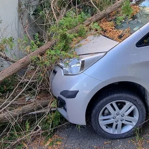 Im Norden: Mercedes rammt Toxota und katapultiert diesen gegen mehrere Bäume