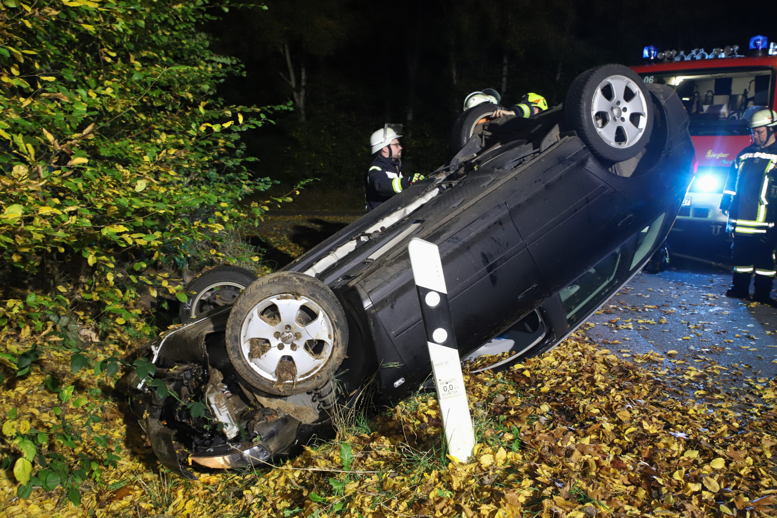 wegen Wildwechsel: Audi überschlägt sich – Fahrer verletzt