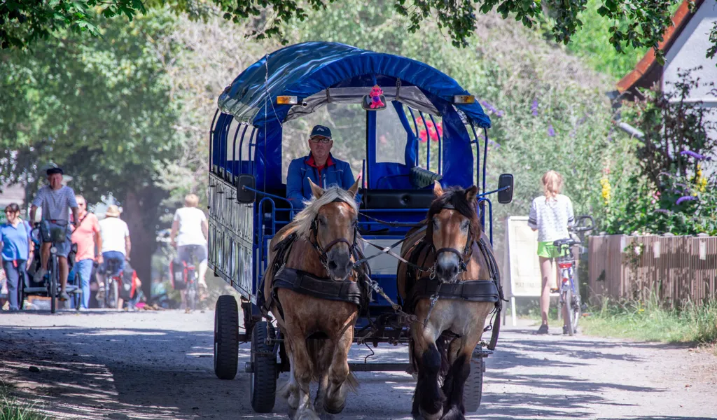 Auf einer Ostseeinsel fahren nun Pferdekutschen statt Linienbusse.