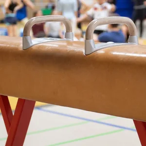 Ein Pauschenpferd steht während des Sportunterrichts in der Sporthalle einer Grundschule.