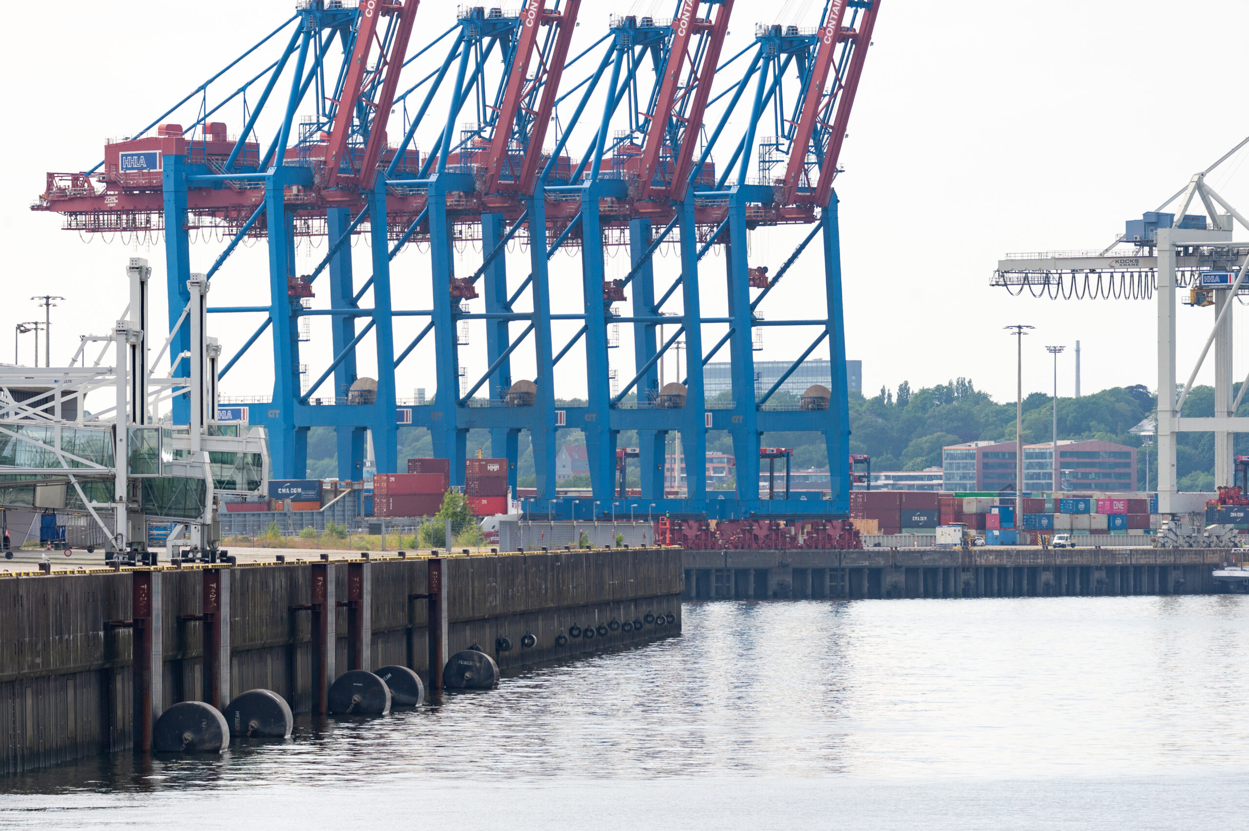Vier Containerbrücken des Terminals Tollerort in Steinwerder. Drückt Kanzler Olaf Scholz (SPD) den umstrittenen Deal mit der chinesischen Reederei Cosco durch?