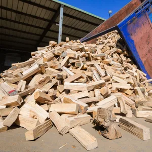 Ein LKW kippt kammergetrocknetes Brennholz auf einen Betriebshof. (Symbolbild)