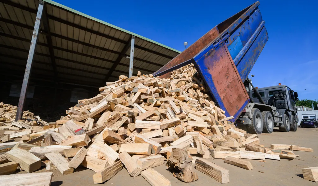 Ein LKW kippt kammergetrocknetes Brennholz auf einen Betriebshof. (Symbolbild)