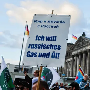 AfD Demonstration