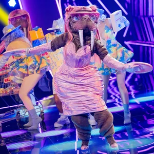 Für die „wunderschöne Waltraut“, eine Walross-Diva war am Samstagabend nach zwei Shows Schluss bei „Masked Singer“.