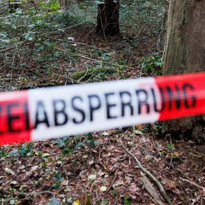 Ein Polizeiabsperrband sperrt den Bereich um den Fundort der Leiche im Mecklenheider Forst ab.