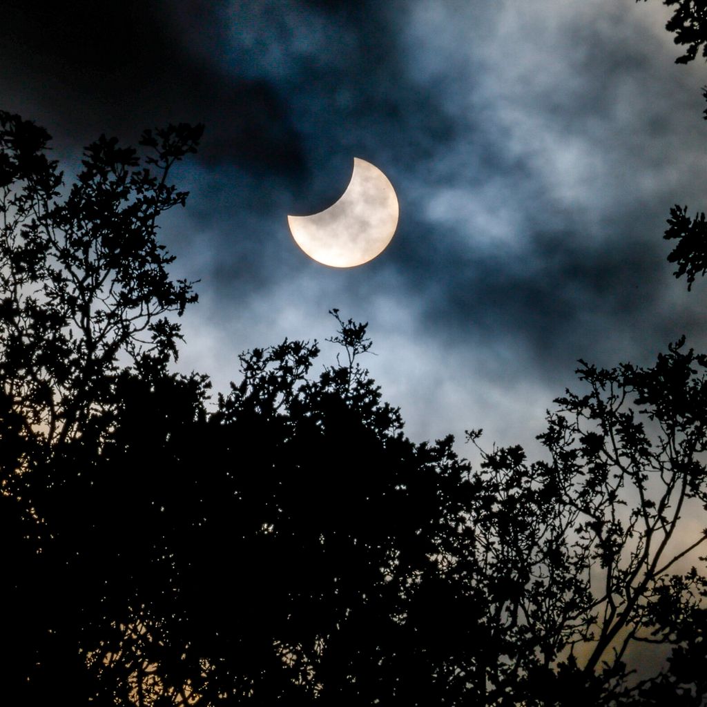 Der Mond schiebt sich bei einer partiellen Sonnenfinsternis über dem Hamburger Stadtpark vor die Sonne.