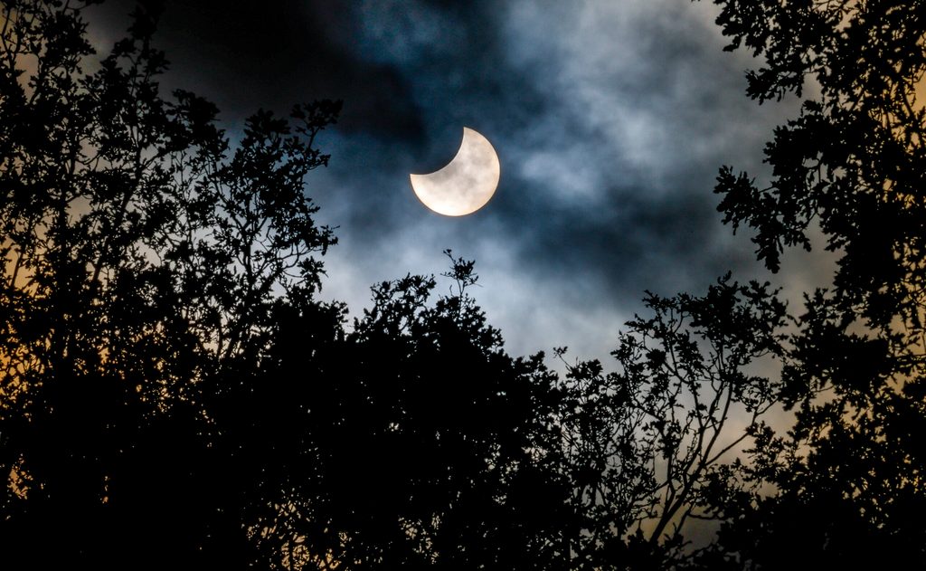 Der Mond schiebt sich bei einer partiellen Sonnenfinsternis über dem Hamburger Stadtpark vor die Sonne.