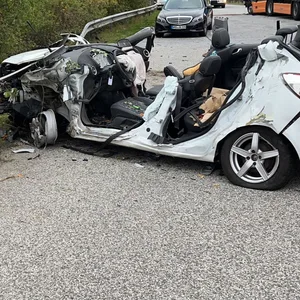 Der Autofahrer überlebt den Unfall nicht.