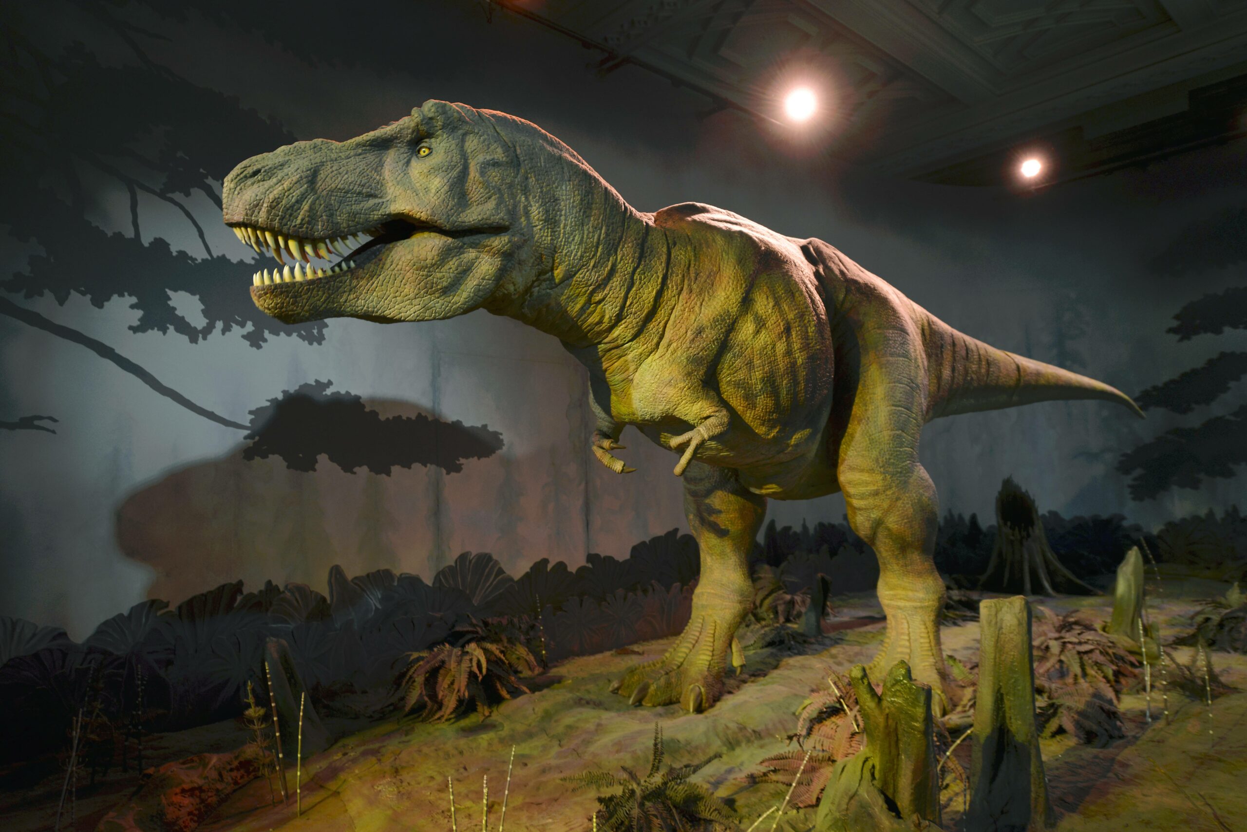 Schultern und Kopf nach vorne geneigt, Hände abgeknickt: So wie diese Dino-Figur in einem englischen Museum lief der T-Rex früher wohl durch die Steppe.