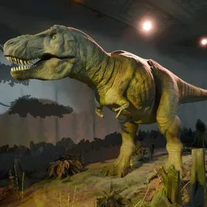 Schultern und Kopf nach vorne geneigt, Hände abgeknickt: So wie diese Dino-Figur in einem englischen Museum lief der T-Rex früher wohl durch die Steppe.