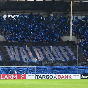Fans des SV Waldhof Mannheim