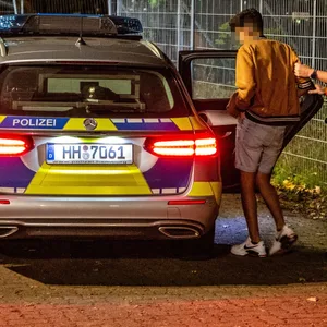 Ein Verdächtiger wird in Streifenwagen gesetzt.