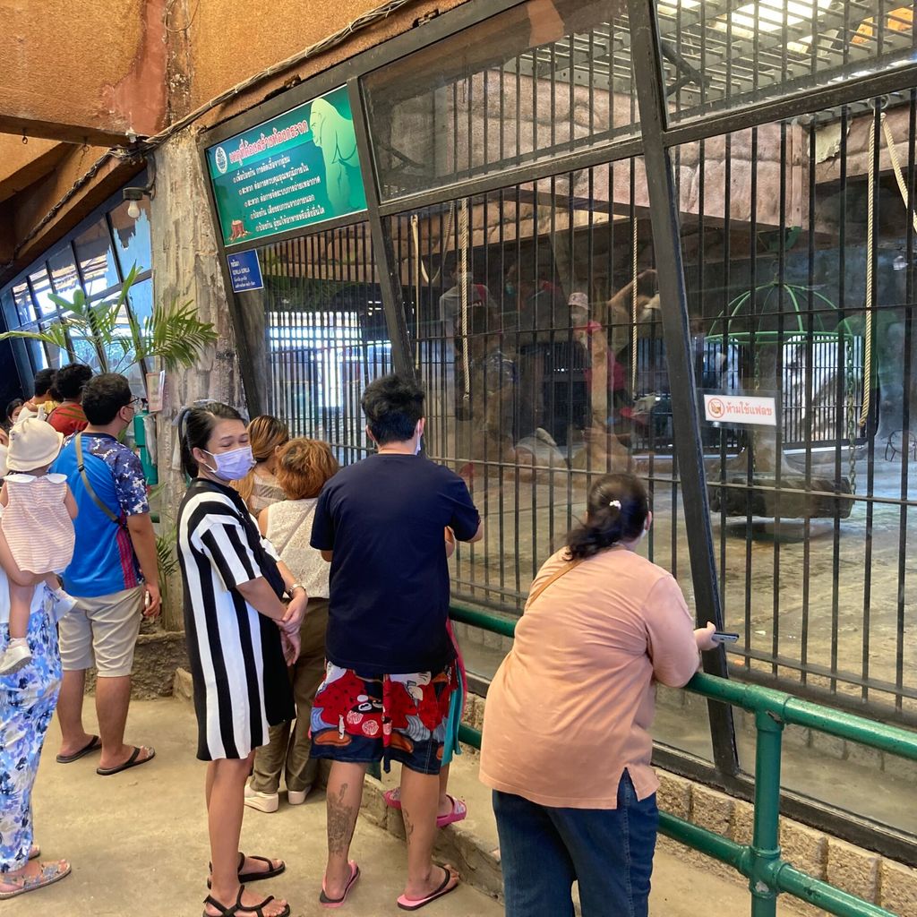 Besucher im Zoo