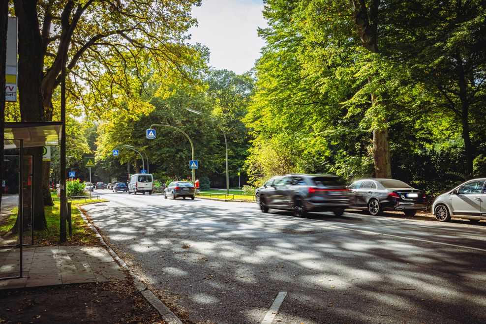 Die Otto-Wels-Straße, die durch den Stadtpark verläuft, ist derzeit für Autos befahrbar und hat viele Parkplätze.