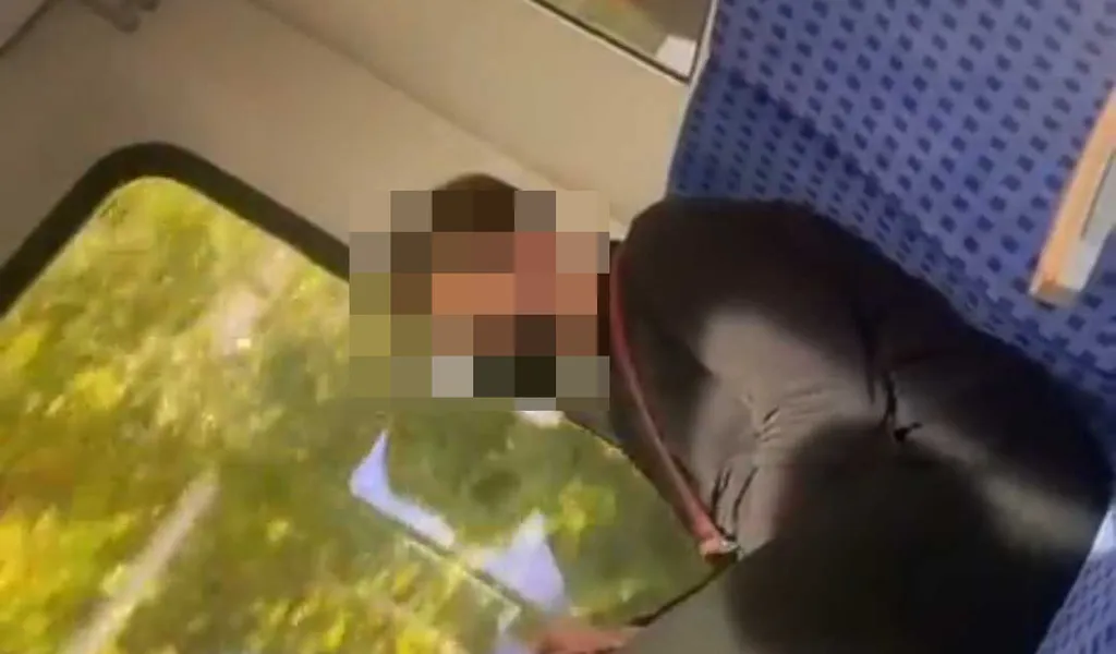 In dem Video ist ein Mann in der S-Bahn zu sehen, der schwarze Menschen rassistisch beleidigt.