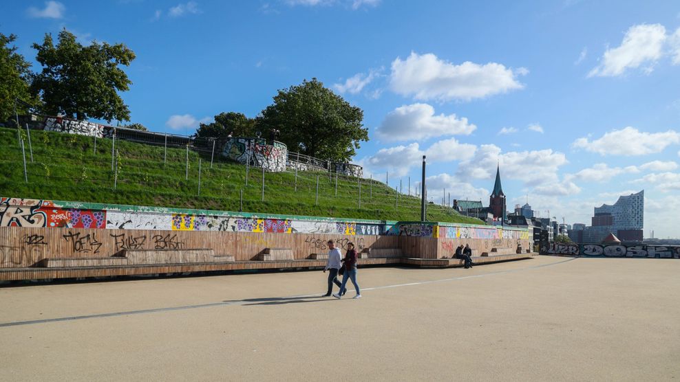 Weinreben, Kunst und die Elbphi