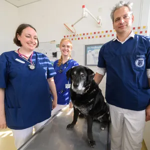 Nina Meyerhoff (v.l.n.r.), Julia Haake und Holger Volk kümmern sich um Tiere mit diagnostizierter Demenz.