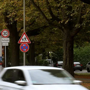 Mehrere Tausend Kastanien prägen das Stadtbild. Doch diese Baumart hat es schwer (Symbolbild).