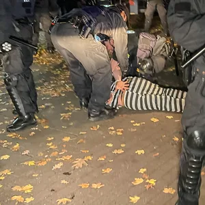 Eine Festnahme bei Halloween-Krawallen in Hamburg-Harburg