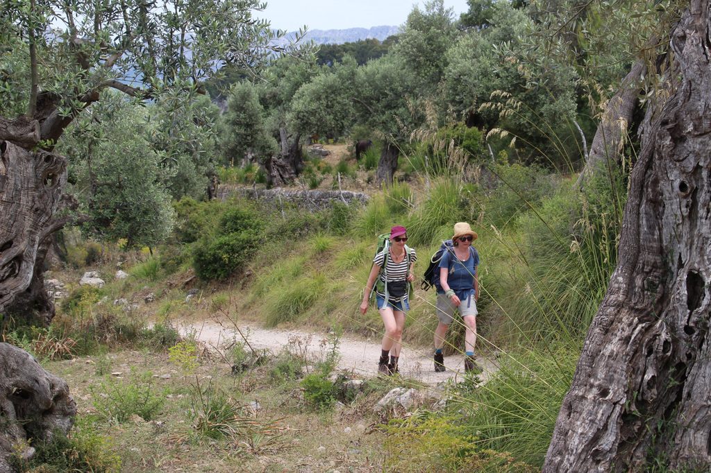 Wandern Mallorca