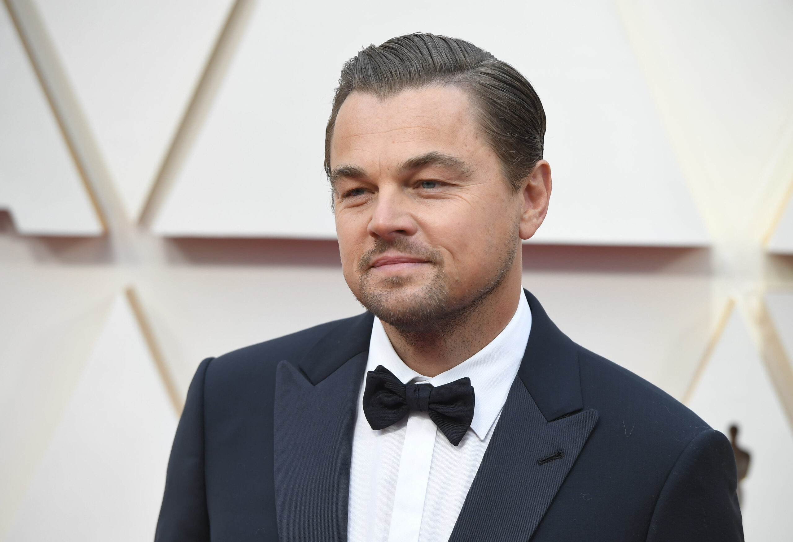 Schauspieler Leonardo DiCaprio