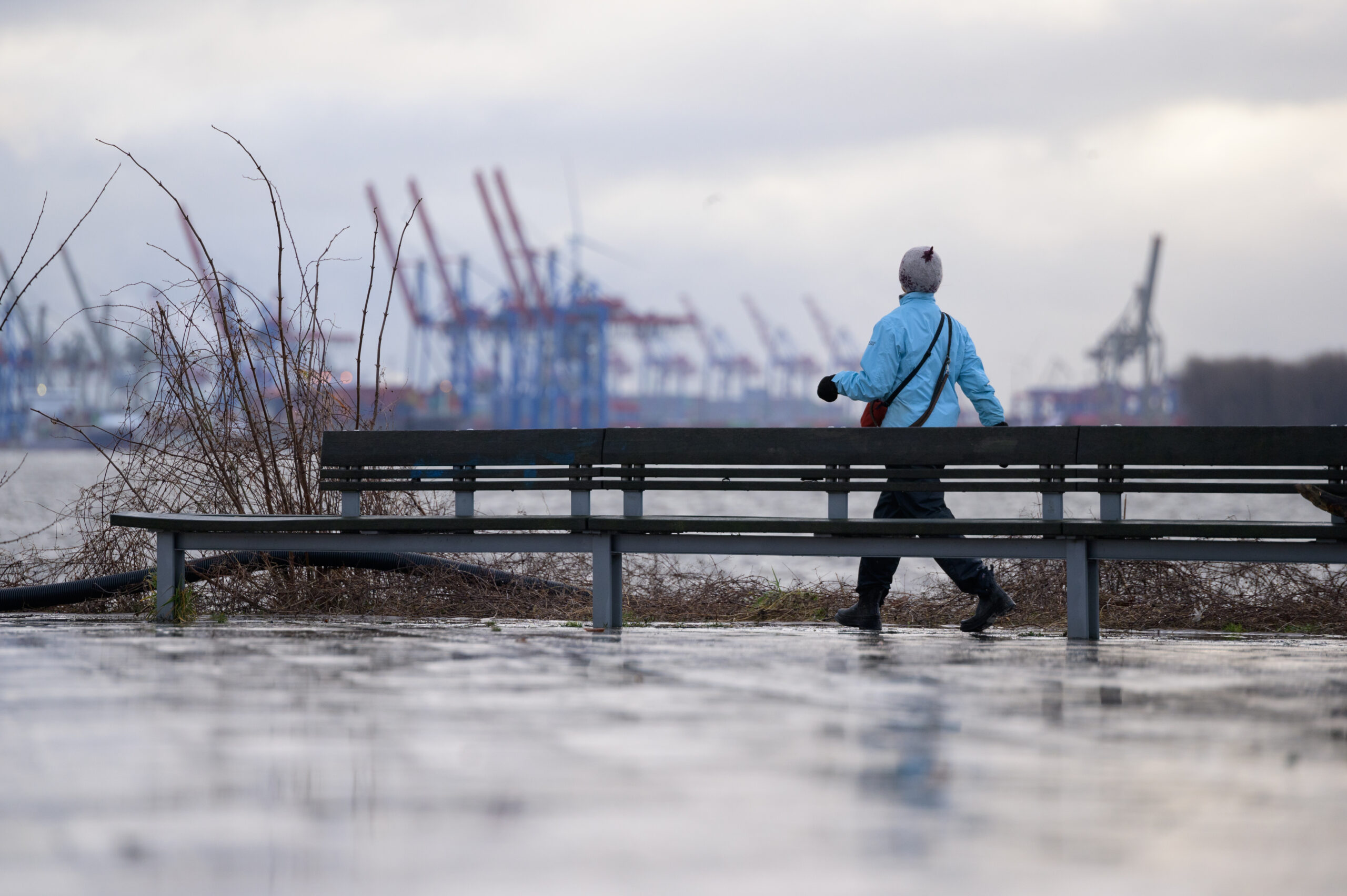 Eine Frau spaziert an der Elbe dick angezogen entlang