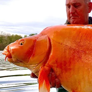 Fisch und Angler