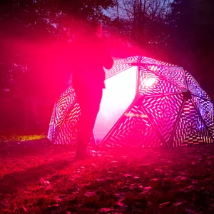 Der Japanische Garten im Hamburger Planten un Blomen Park erstrahlt seit Donnerstag abends im Licht von Kunst-Installationen.