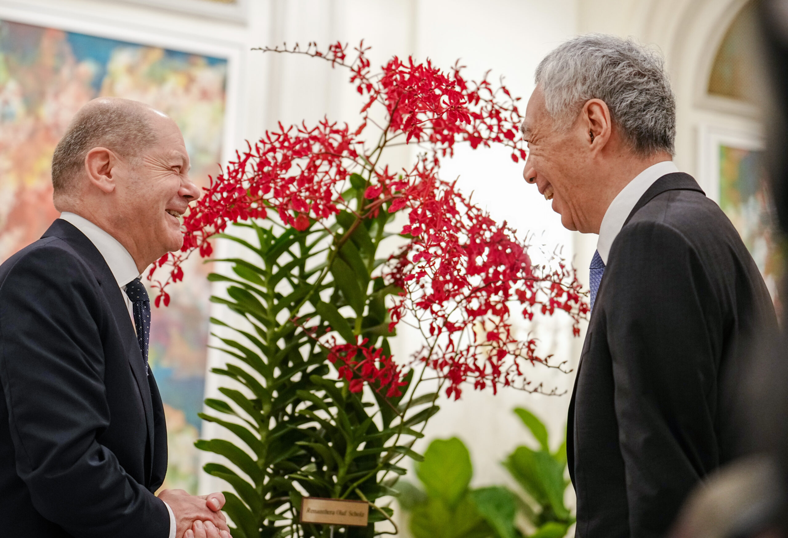 Bundeskanzler Olaf Scholz (l, SPD) nimmt neben Lee Hsien Loong, Premierminister der Republik Singapur, an einer Orchideenzeremonie teil.