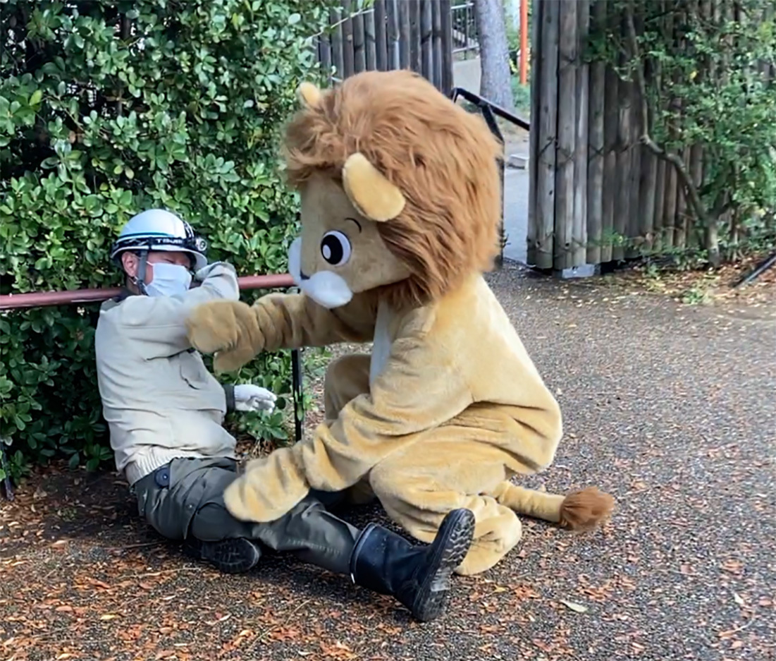 Löwe mit Mitarbeiter