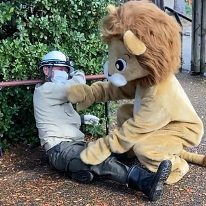Löwe mit Mitarbeiter
